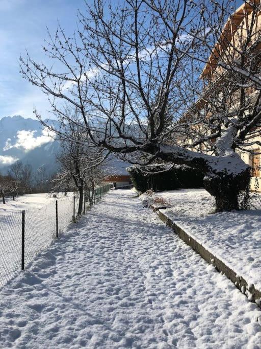 Appartement Rez De Jardin Montee De L'Alpe D'Huez La Garde  Εξωτερικό φωτογραφία