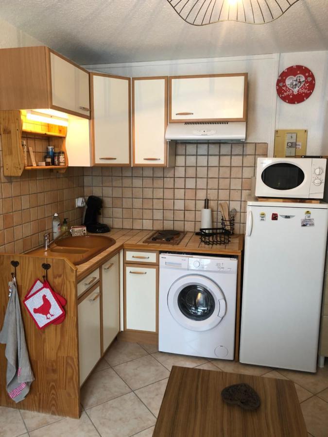 Appartement Rez De Jardin Montee De L'Alpe D'Huez La Garde  Εξωτερικό φωτογραφία