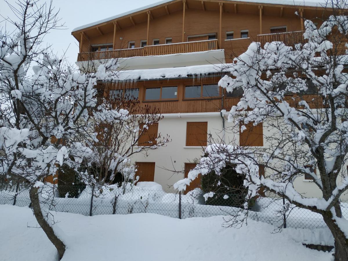 Appartement Rez De Jardin Montee De L'Alpe D'Huez La Garde  Εξωτερικό φωτογραφία